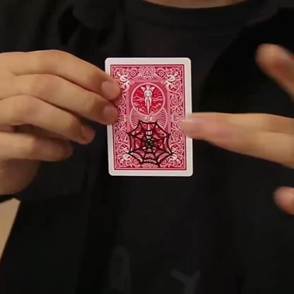 Image du produit 5