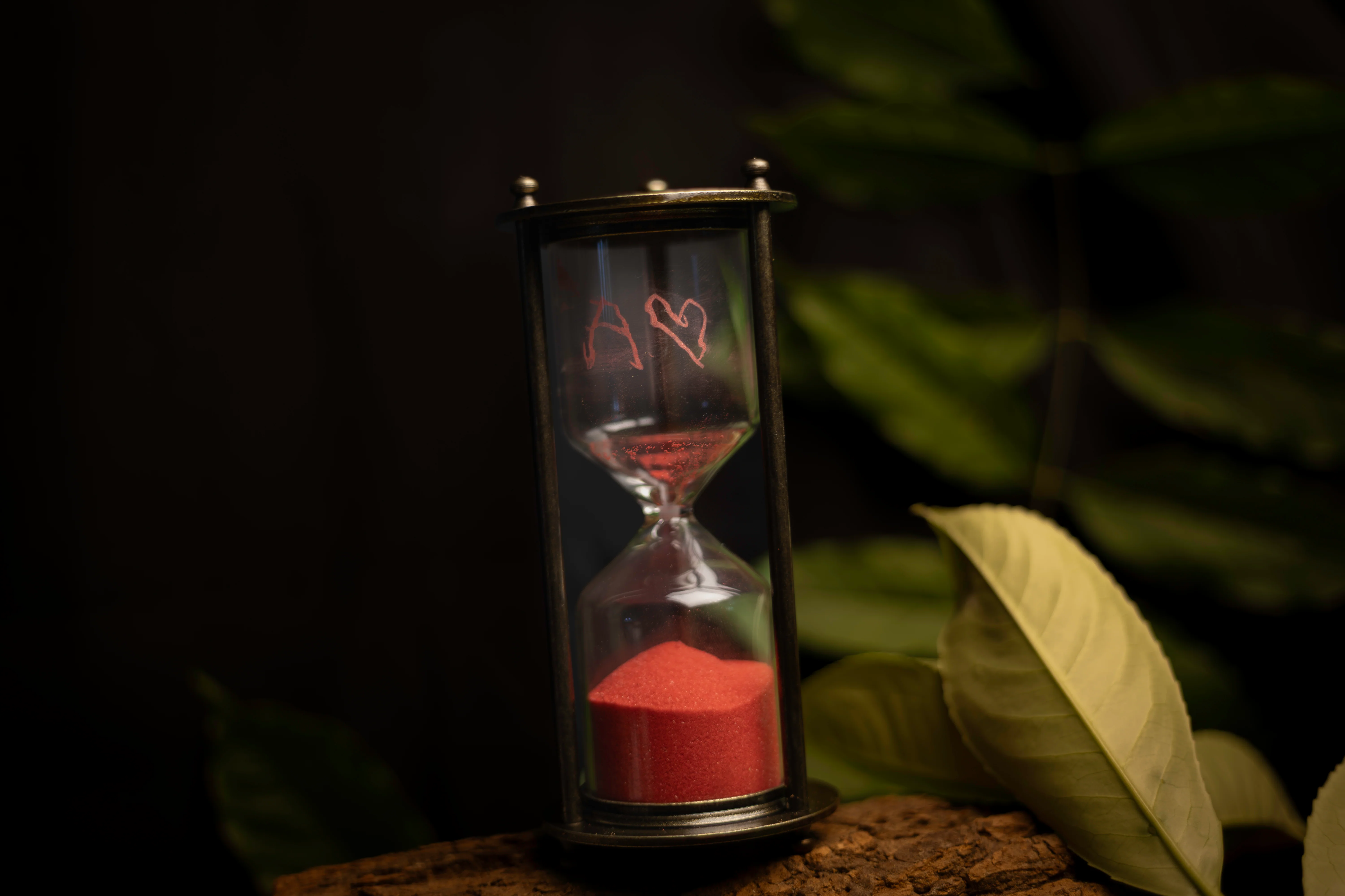 Image du produit 20